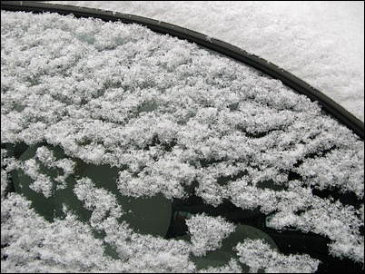 xue9.JPG