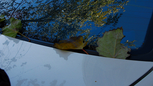 m5.JPG