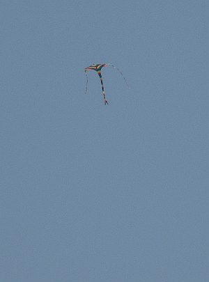 6.JPG