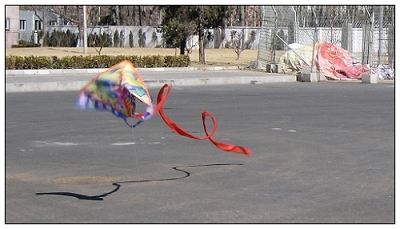06.JPG