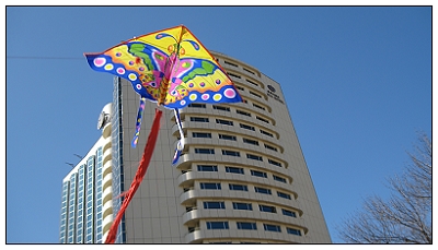 09.JPG