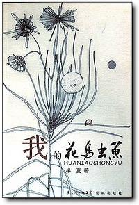 wodehuaniaochongyu.jpg
