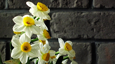 08