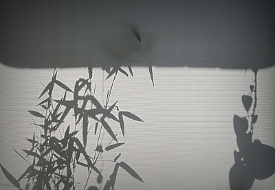 zhuying-2