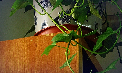 09